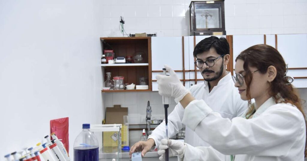 Medicamentos Acessíveis ao SUS: UFPA Explora Plantas da Amazônia para Inovações em Saúde Medicamentos Acessíveis ao SUS: UFPA Explora Plantas da Amazônia para Inovações em Saúde