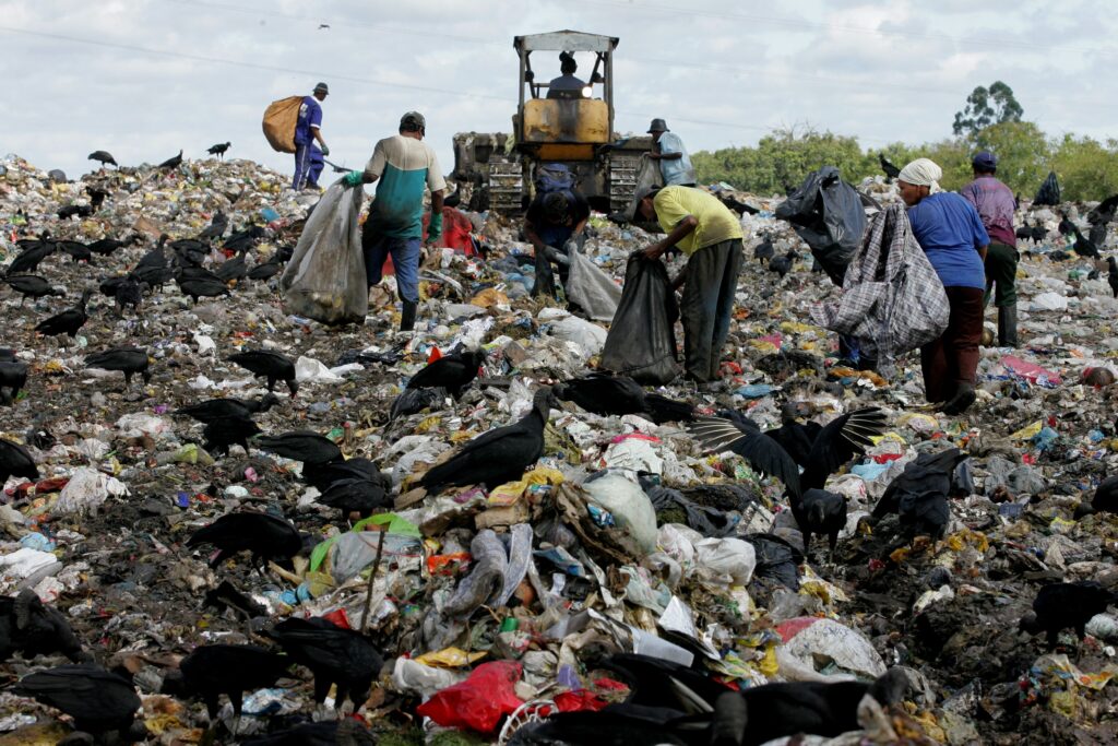 O Paradoxo da Reciclagem no Brasil: O Papel Crucial dos Catadores e Seus Desafios O Paradoxo da Reciclagem no Brasil: O Papel Crucial dos Catadores e Seus Desafios