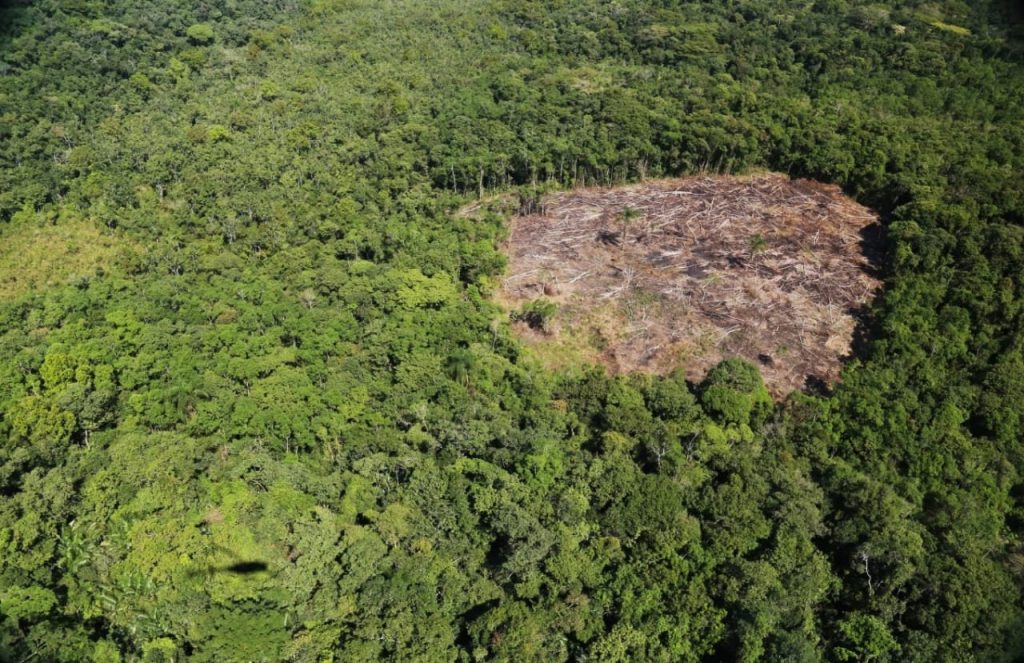 São Paulo Amplia Monitoramento Ambiental por Satélite e Reforça Fiscalização em Todo o Estado São Paulo Amplia Monitoramento Ambiental por Satélite e Reforça Fiscalização em Todo o Estado