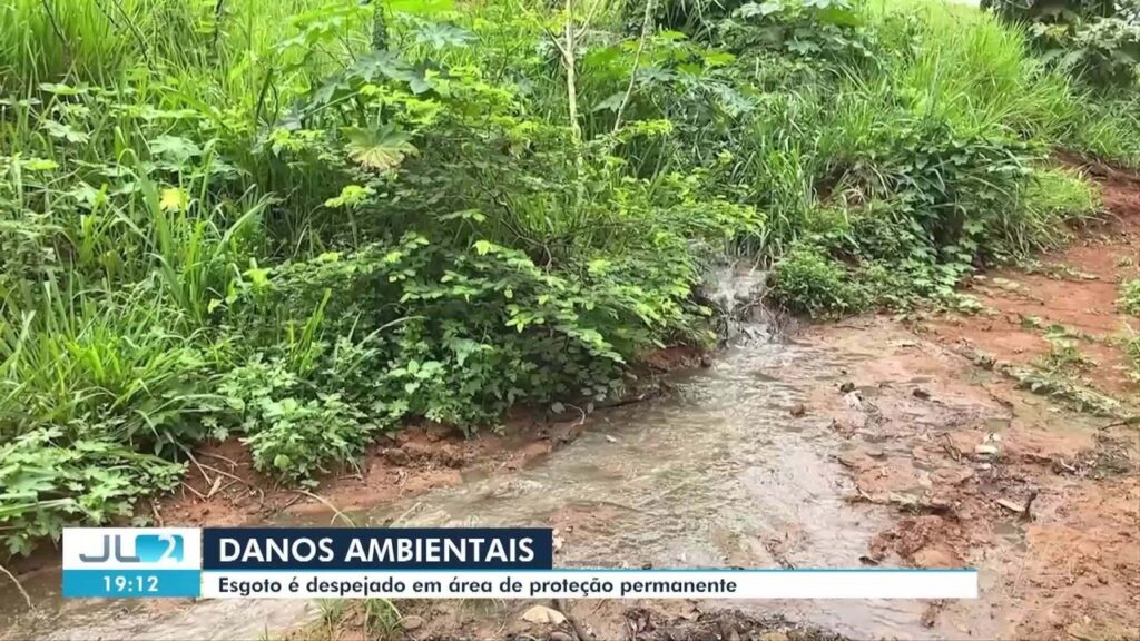 Vazamento de Esgoto em Altamira Ameaça Matas do Xingu e a Saúde da População Vazamento de Esgoto em Altamira Ameaça Matas do Xingu e a Saúde da População