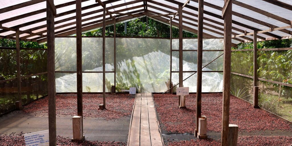 Edital de Inovação no Amazonas, Pará e Rondônia Oferece R$ 1,8 Milhão para Projetos Sustentáveis Edital de Inovação no Amazonas, Pará e Rondônia Oferece R$ 1,8 Milhão para Projetos Sustentáveis