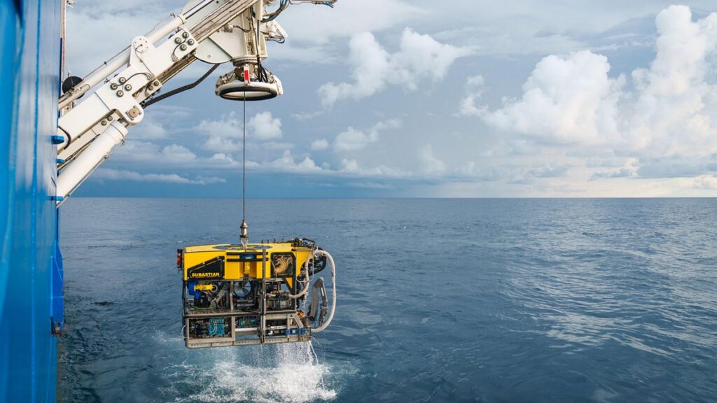 Exploração Científica Revela Biodiversidade Oculta nas Profundezas do Oceano Brasileiro
