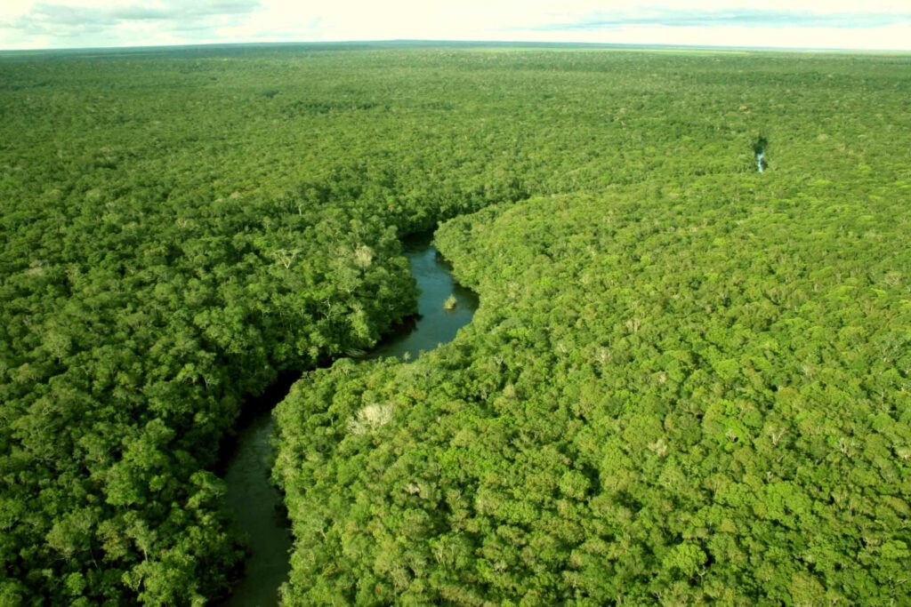 Reserva Legal no Brasil: Uma Análise Atual sobre Controvérsias e Desafios