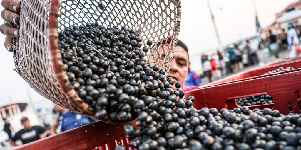Semana Santa em Belém: Aumento de Preços do Açaí e Peixes Surpreende Consumidores Semana Santa em Belém: Aumento de Preços do Açaí e Peixes Surpreende Consumidores