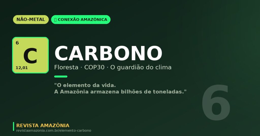 Amazônia e Carbono: O Elemento Invisível que Define o Futuro Climático