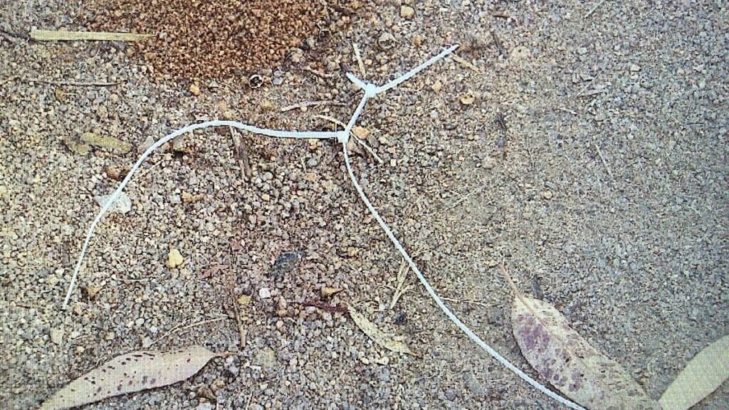 Assalto em Trilha na Cachoeira do Jarrão em SC Deixa Turistas Amarrados Assalto em Trilha na Cachoeira do Jarrão em SC Deixa Turistas Amarrados