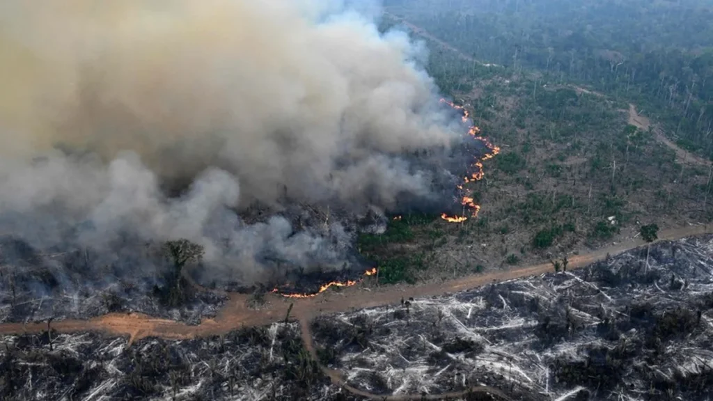 Pará declara alerta climático por forte El Niño e intensifica ações preventivas
