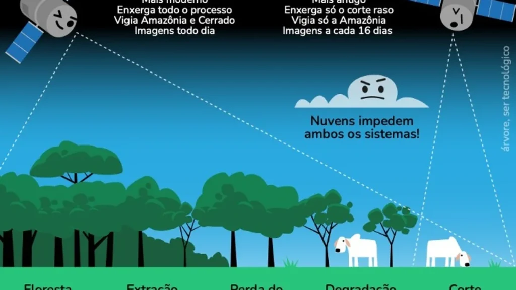 Pará registra queda de 26% em alertas de desmatamento no ano Prodes 2026