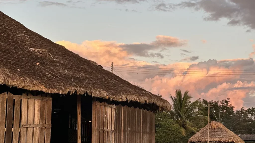 Desmatamento na Amazônia: Terras Indígenas Protegem 98,3% da Floresta Desmatamento na Amazônia: Terras Indígenas Protegem 98,3% da Floresta