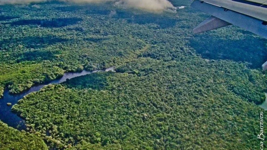 Reino Unido aporta R$ 2,7 bilhões para Fundo Florestas Tropicais criado na COP de Belém