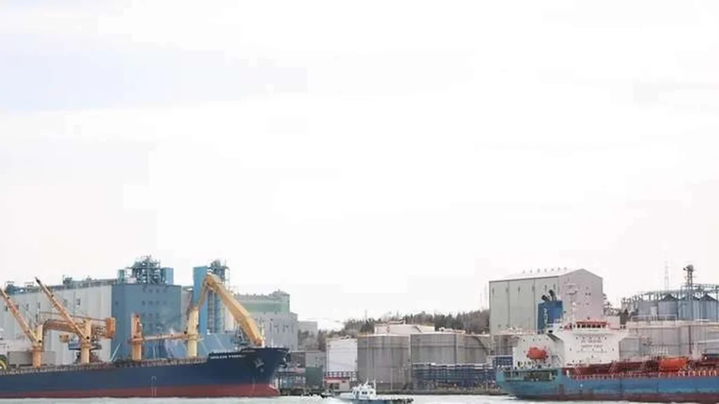 Belém fortalece comércio com o Canadá e amplia exportações para a Amazônia