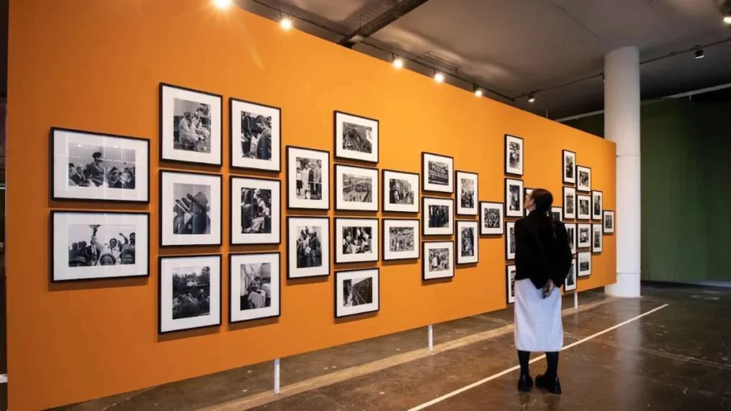 Belém recebe itinerância da 36ª Bienal de São Paulo com exposição inédita Belém recebe itinerância da 36ª Bienal de São Paulo com exposição inédita