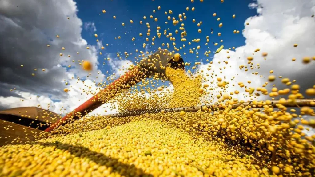 Pará entre os 10 maiores produtores agrícolas do Brasil com R$ 38,4 bilhões