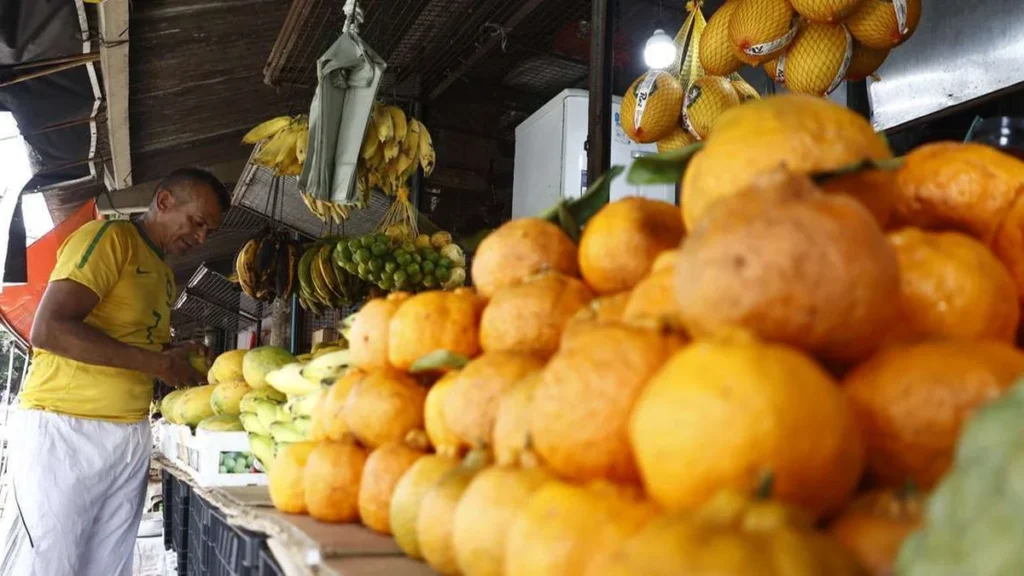Preços das Frutas da Safra em Belém: Veja o Que Está Mais Barato nas Feiras Preços das Frutas da Safra em Belém: Veja o Que Está Mais Barato nas Feiras