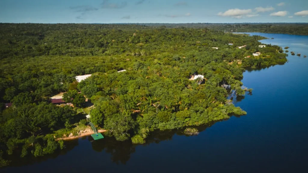 Realiza Pará fortalece a sociobioeconomia com R$ 3,4 milhões em investimentos Realiza Pará fortalece a sociobioeconomia com R$ 3,4 milhões em investimentos