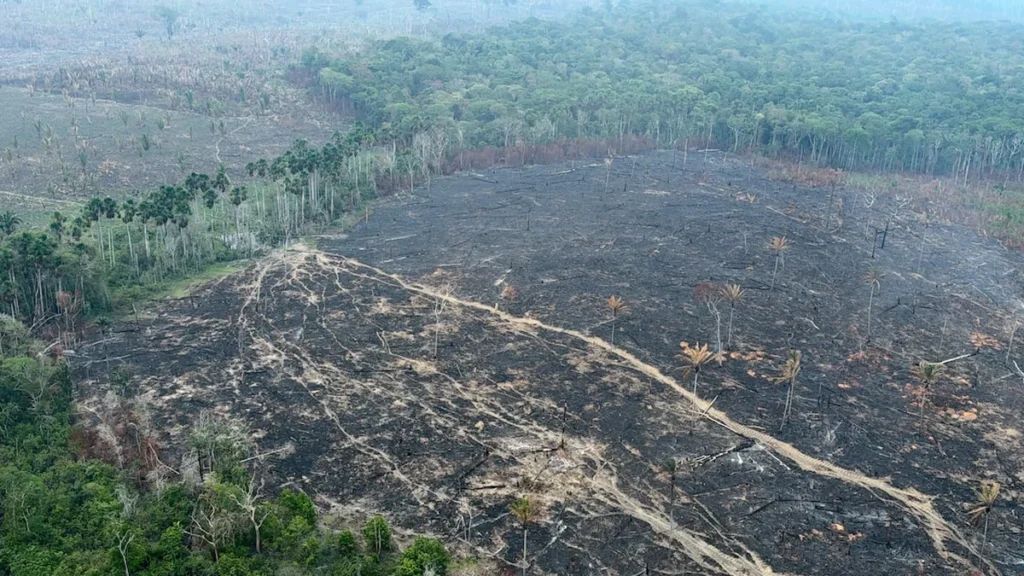 Fumaça das Queimadas Impacta Turismo e Meio Ambiente no Amazonas e Pará