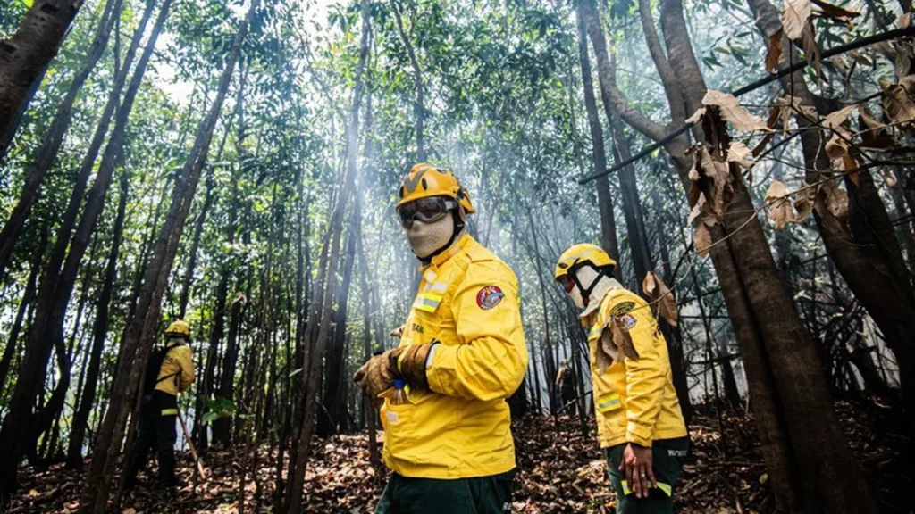 Governo Federal intensifica combate a incêndios florestais no Pará com ações integradas Governo Federal intensifica combate a incêndios florestais no Pará com ações integradas