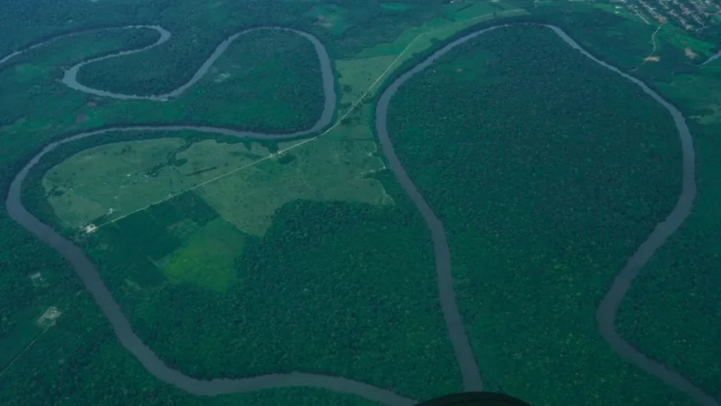 Pará alcança menor taxa de desmatamento da história e reforça compromisso ambiental