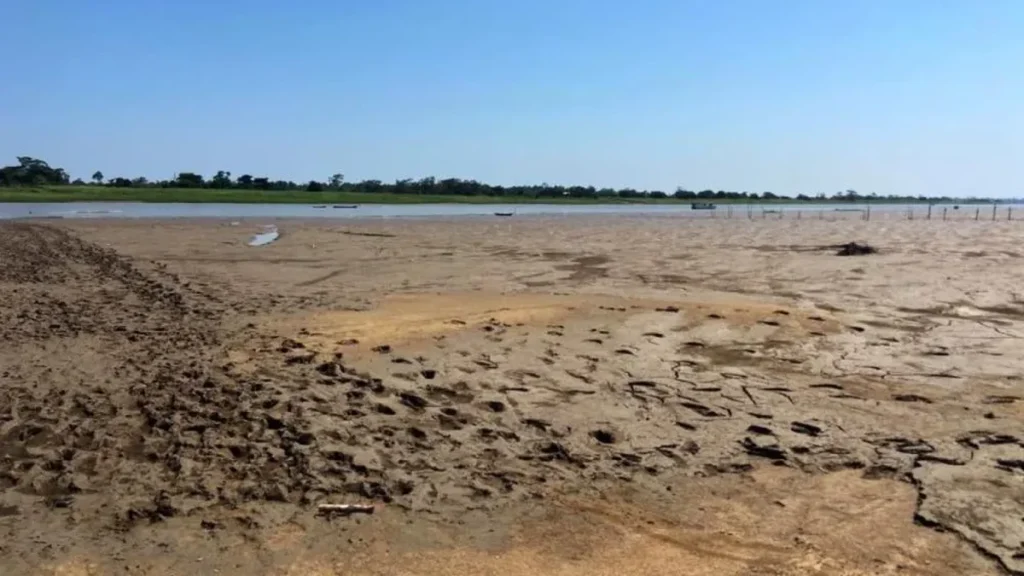 Santarém planeja adesão a programa federal contra incêndios com ações a partir de 2027 Santarém planeja adesão a programa federal contra incêndios com ações a partir de 2027