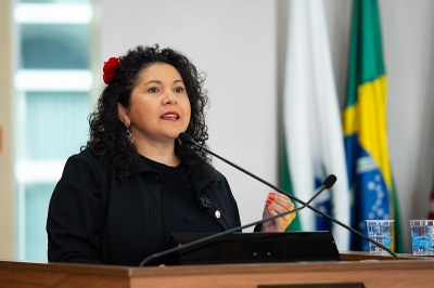 Curitiba Pode Celebrar a Cultura Nordestina: Proposta de Lei É Apresentada Imagem do artigo