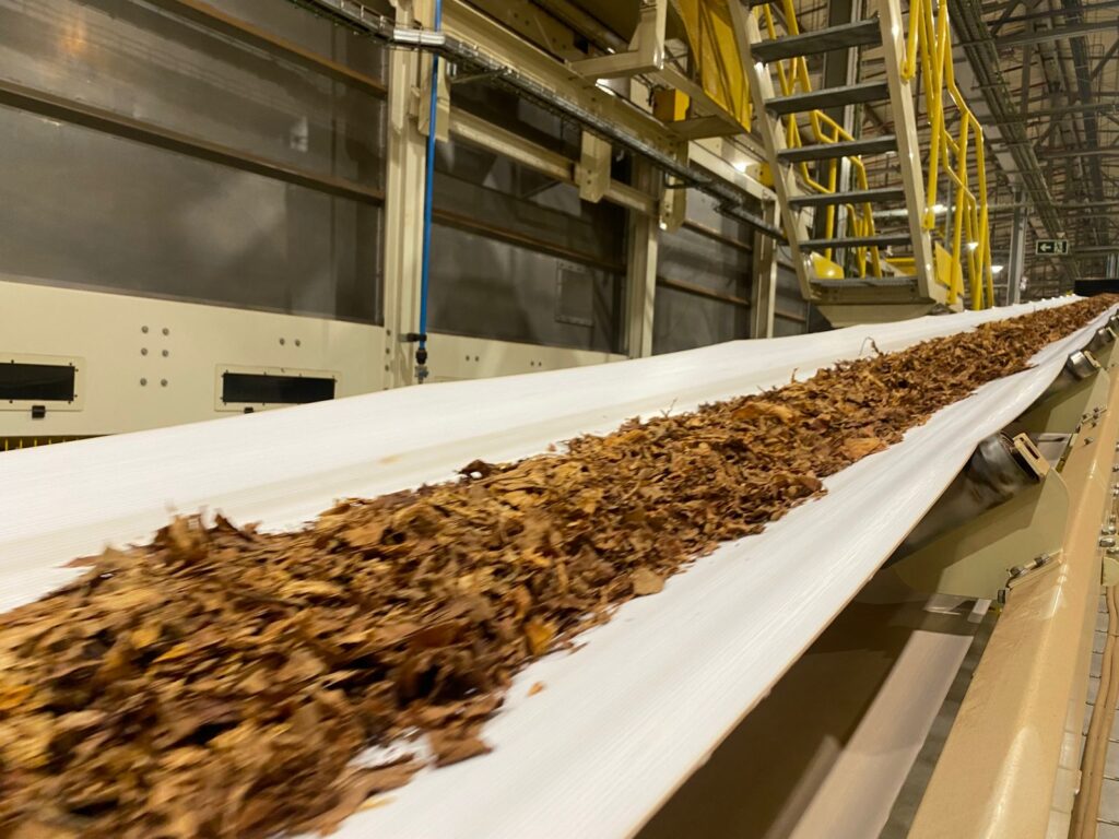 Crescimento das Exportações de Tabaco Brasileiro em 2025: Uma Nova Era Comercial