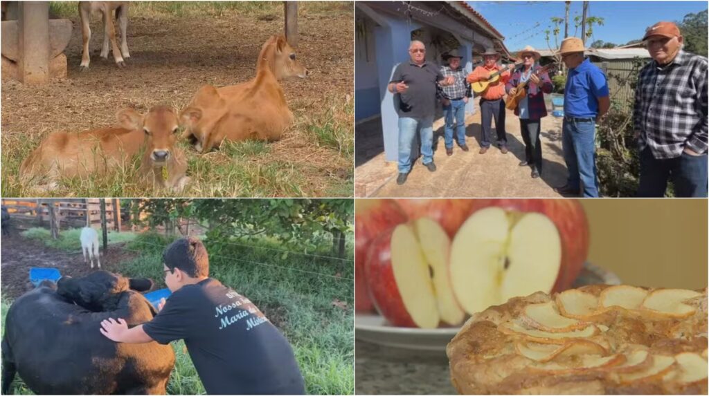 Retrospectiva 2025: Reviva as Melhores Reportagens do Nosso Campo Retrospectiva 2025: Reviva as Melhores Reportagens do Nosso Campo