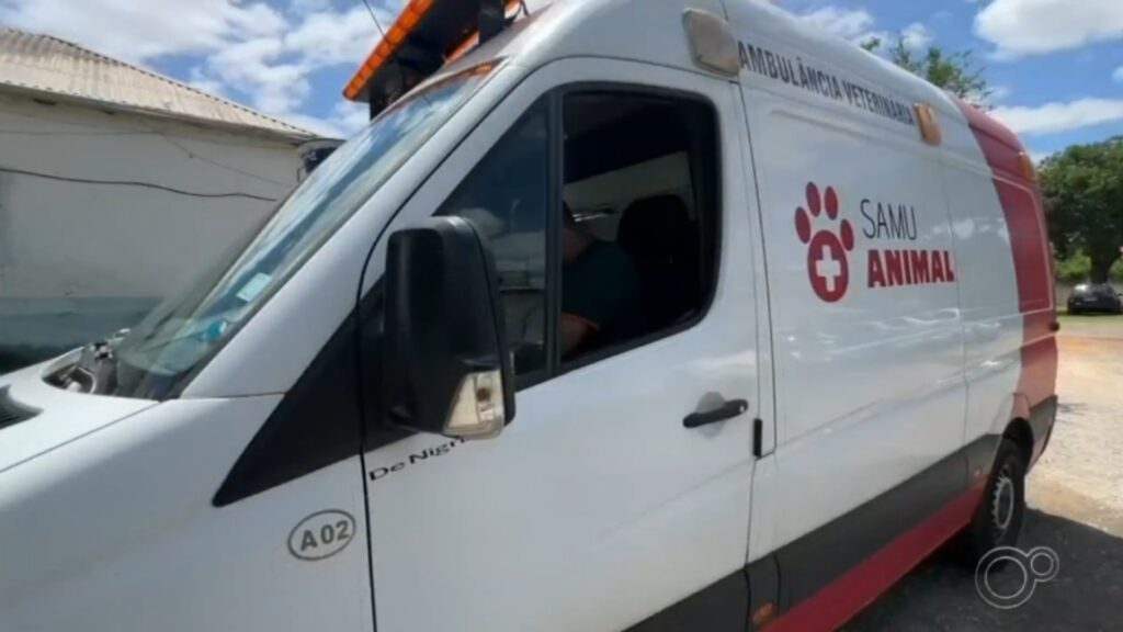 Samu Animal: Mais de 3 Mil Atendimentos a Cães e Gatos em Sorocaba desde 2021 Samu Animal: Mais de 3 Mil Atendimentos a Cães e Gatos em Sorocaba desde 2021