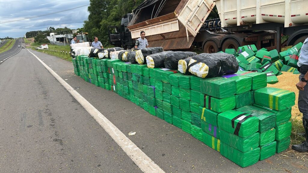 Cidades do Interior de SP: 70% das Apreensões de Drogas São Registradas Aqui