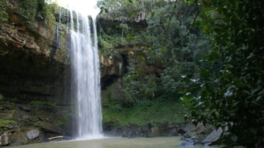 Papanduva: a cidade catarinense com 90% de seu território em áreas rurais Papanduva: a cidade catarinense com 90% de seu território em áreas rurais