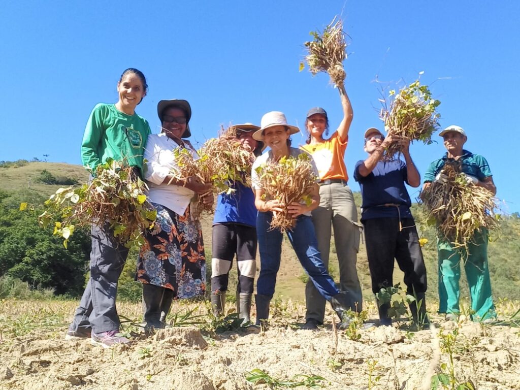 Festival de Cultura e Agricultura em Casimiro de Abreu: Celebração do Feijão Sem Veneno Festival de Cultura e Agricultura em Casimiro de Abreu: Celebração do Feijão Sem Veneno