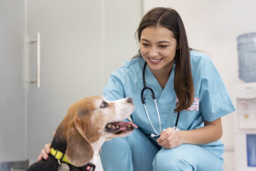 Simpósio On-line Aborda Saúde Mental na Veterinária: Desafios na Clínica de Pequenos Animais