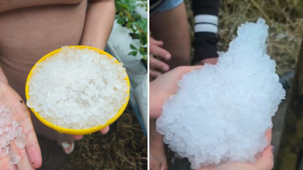 Temporal com Granizo Causa Danos e Prejuízos no Interior de SP Temporal com Granizo Causa Danos e Prejuízos no Interior de SP