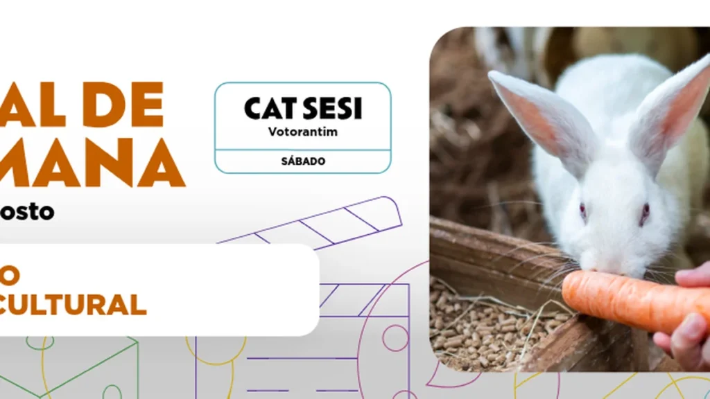 Sábado Cultural no CAT Sesi Votorantim reúne arte, educação e lazer para toda família
