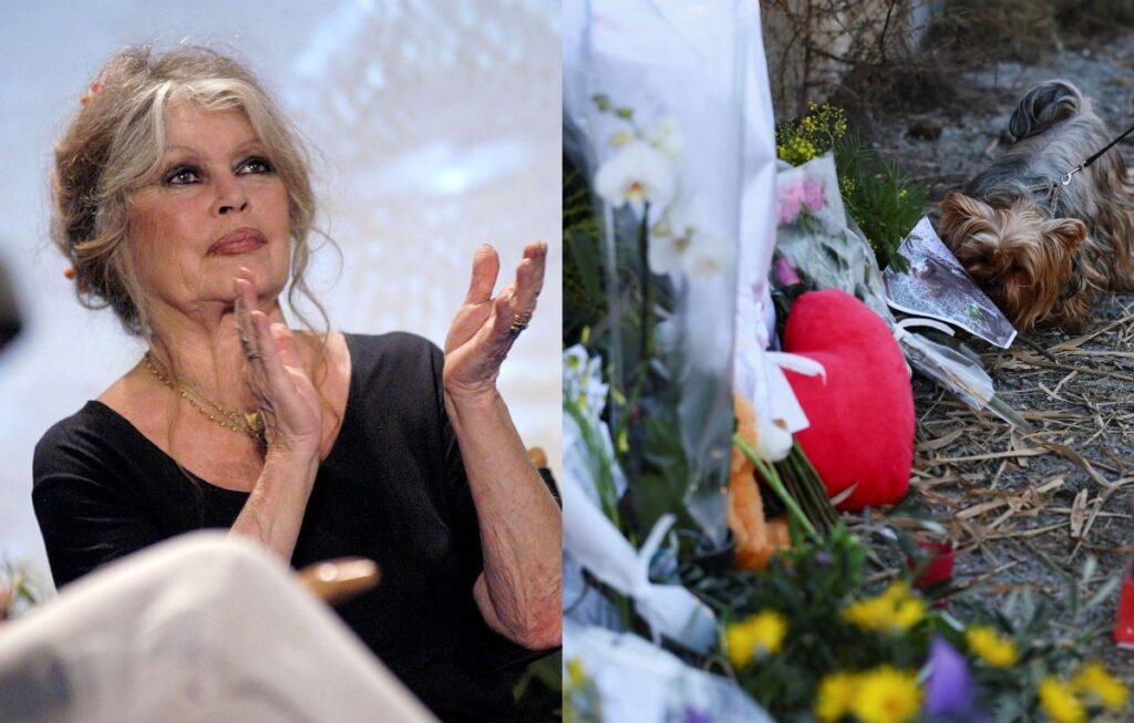 Adeus a Brigitte Bardot: Homenagens emocionantes marcam a despedida da atriz
