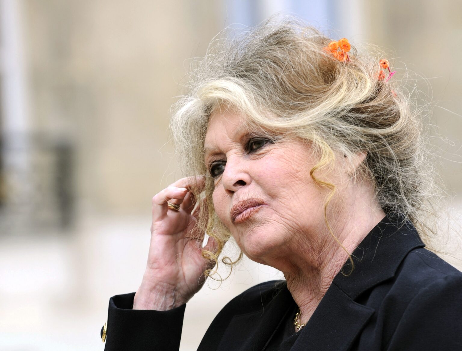 Brigitte Bardot: Uma Ícone do Cinema que Transformou sua Vida em Defesa dos Animais Brigitte Bardot: Uma Ícone do Cinema que Transformou sua Vida em Defesa dos Animais