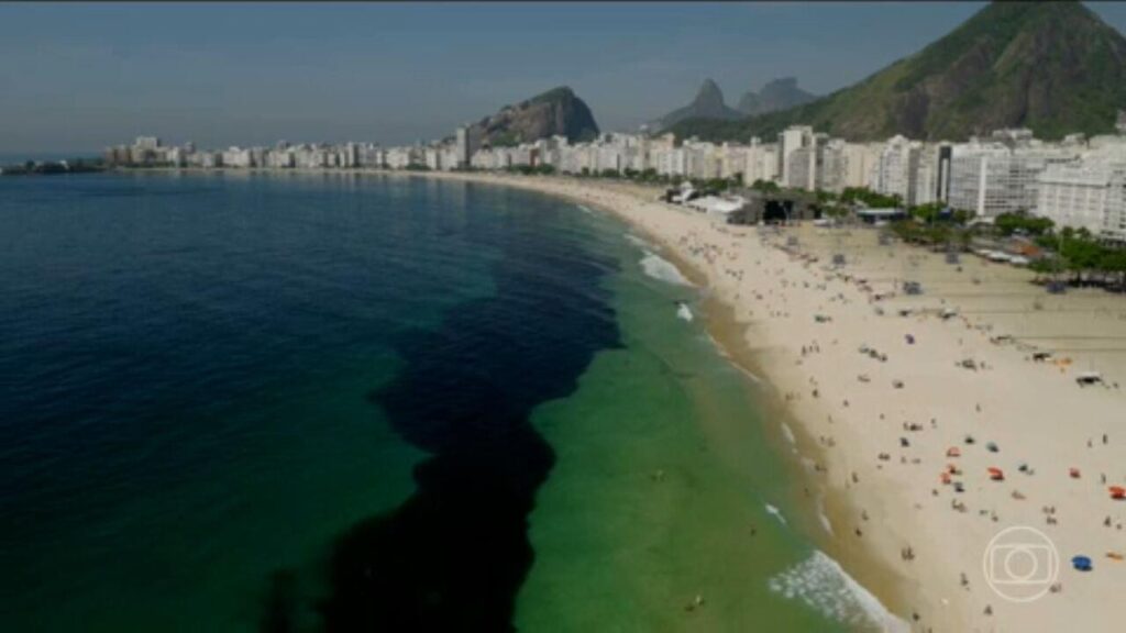 Cardume de Manjubinhas Encanta Copacabana em Espetáculo Marinho
