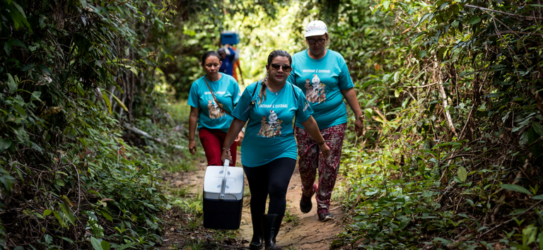 Coqueluche no Território Yanomami: Mais de 250 Atendimentos Realizados pelo Ministério da Saúde Coqueluche no Território Yanomami: Mais de 250 Atendimentos Realizados pelo Ministério da Saúde