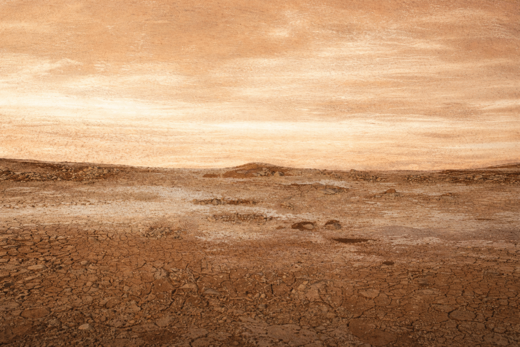 Zilah Garcia Inaugura Exposição ‘Terra’ em Olímpia, Sua Cidade Natal Zilah Garcia Inaugura Exposição 'Terra' em Olímpia, Sua Cidade Natal