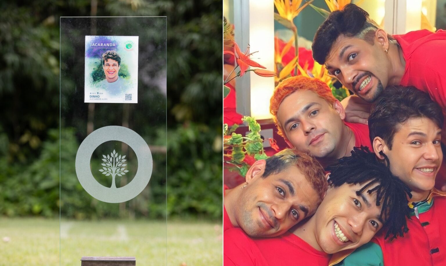 Cinzas dos Mamonas Assassinas se Transformam em Árvore de Jacarandá em Homenagem Emocionante Cinzas dos Mamonas Assassinas se Transformam em Árvore de Jacarandá em Homenagem Emocionante