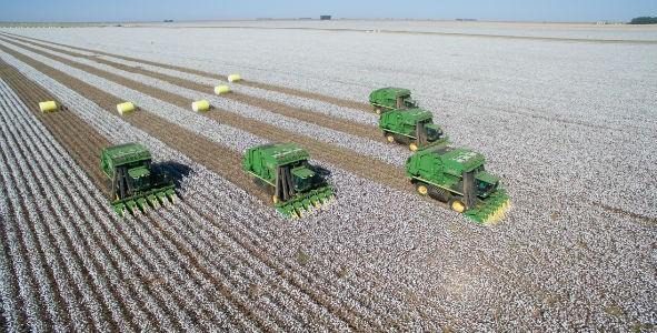 Crescimento do PIB Nacional é de 2% enquanto Setor Agroexportador sobe 12%, diz IBGE Crescimento do PIB Nacional é de 2% enquanto Setor Agroexportador sobe 12%, diz IBGE