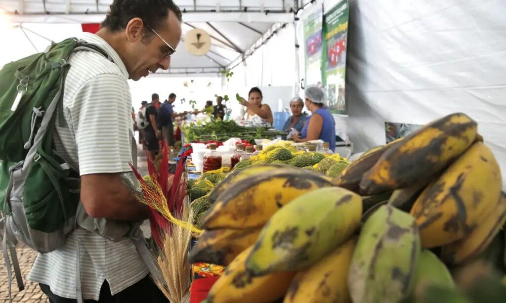 Dicas Práticas para Escolher Frutas e Verduras e Evitar Desperdícios