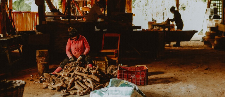 Iphan Registra Saberes e Práticas Tradicionais dos Engenhos de Farinha de Mandioca de SC Iphan Registra Saberes e Práticas Tradicionais dos Engenhos de Farinha de Mandioca de SC
