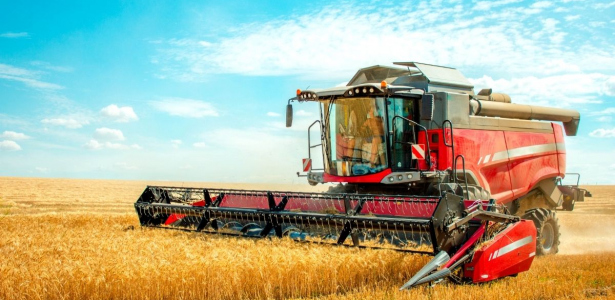 Santa Catarina se Destaca como 4ª na Indústria Alimentícia Brasileira em 2025