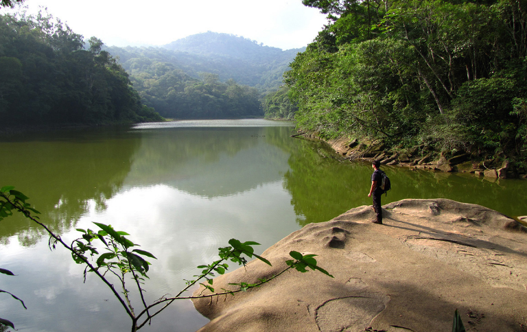 Do Cristo às Montanhas: A Nova Trilha que Redesenha o Rio de Janeiro pela Natureza Do Cristo às Montanhas: A Nova Trilha que Redesenha o Rio de Janeiro pela Natureza