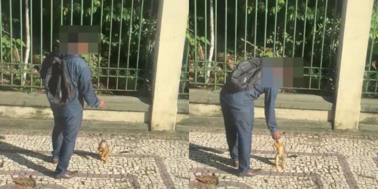 Semma Alerta: Alimentar Macacos no Bosque Rodrigues Alves Pode Ser Perigoso à Saúde Animal Semma Alerta: Alimentar Macacos no Bosque Rodrigues Alves Pode Ser Perigoso à Saúde Animal
