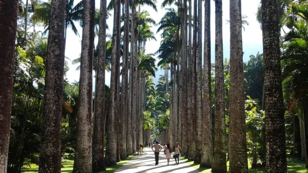 Jardim Botânico do Rio lança passaporte para explorar suas belezas naturais