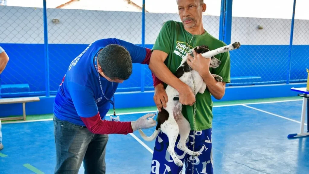 Belford Roxo vacina mais de 7,5 mil cães e gatos contra a raiva com ação gratuita Belford Roxo vacina mais de 7,5 mil cães e gatos contra a raiva com ação gratuita