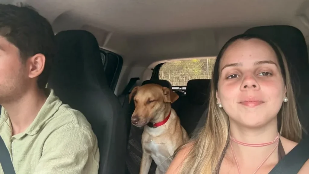 Lua de Mel em Arraial d’Ajuda: Casal de Niterói Adota Cachorro Vira-Lata e Transforma Viagem Lua de Mel em Arraial d’Ajuda: Casal de Niterói Adota Cachorro Vira-Lata e Transforma Viagem