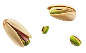 pistache2