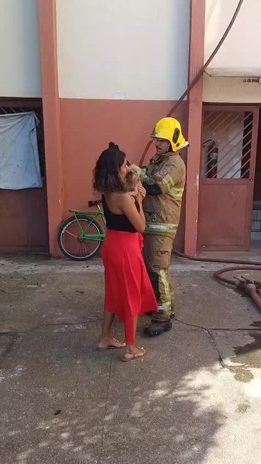 Corpo de Bombeiros Salva Cachorrinha em Incêndio em Apartamento em BH